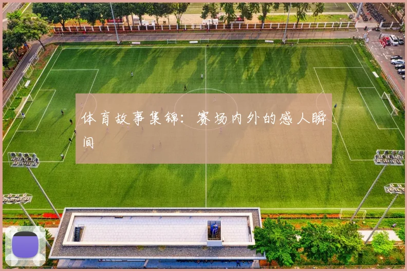 体育故事集锦：赛场内外的感人瞬间